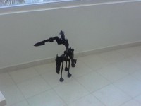 /album/fotogaleria/exp3-jpg/